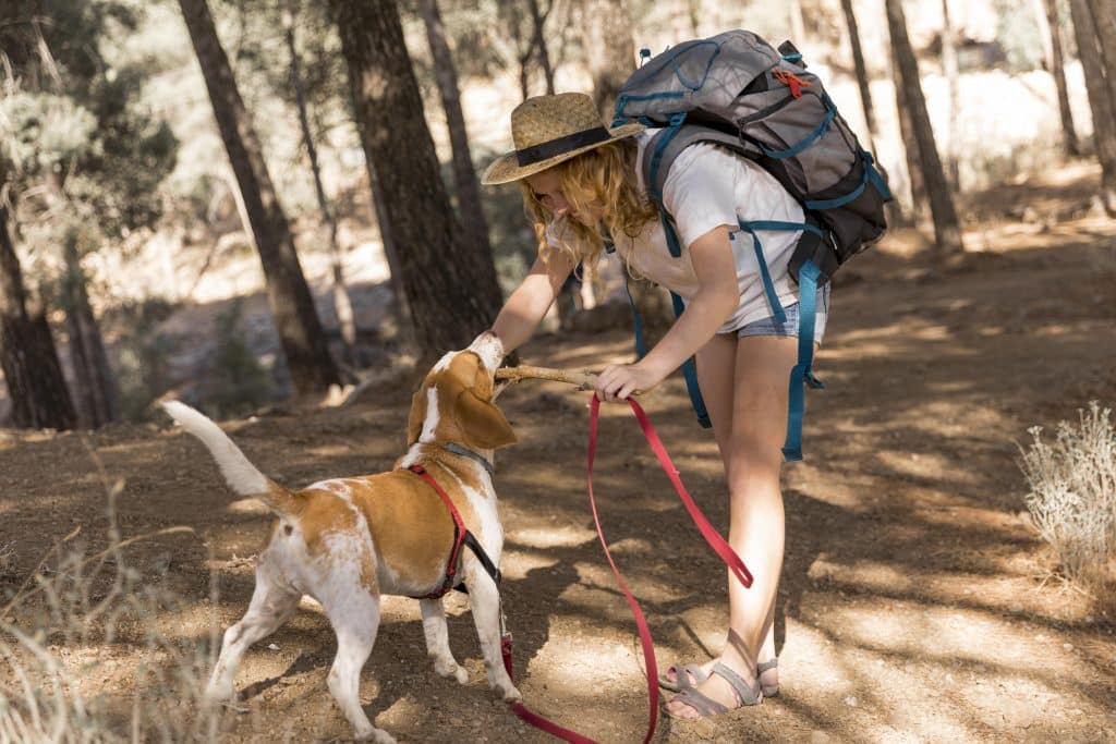 Hiking with dog